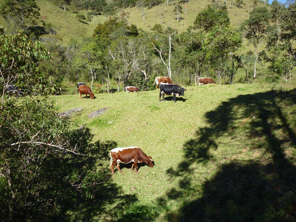 Apartamento Ferias Fazenda Usina 1 Bocaina de Minas Exteriör bild