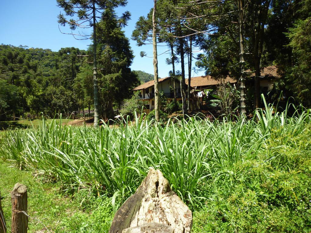 Apartamento Ferias Fazenda Usina 1 Bocaina de Minas Exteriör bild