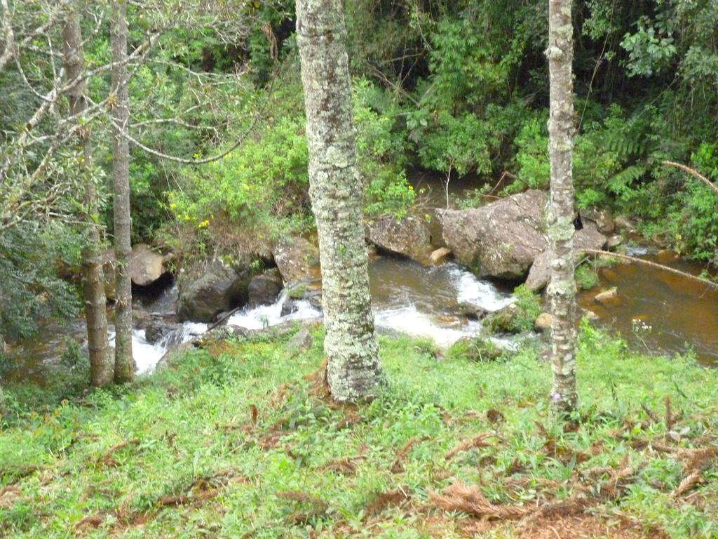 Apartamento Ferias Fazenda Usina 1 Bocaina de Minas Exteriör bild