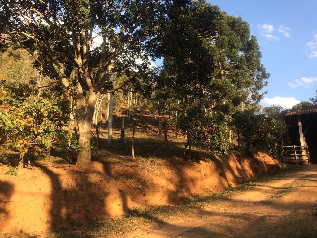 Apartamento Ferias Fazenda Usina 1 Bocaina de Minas Exteriör bild