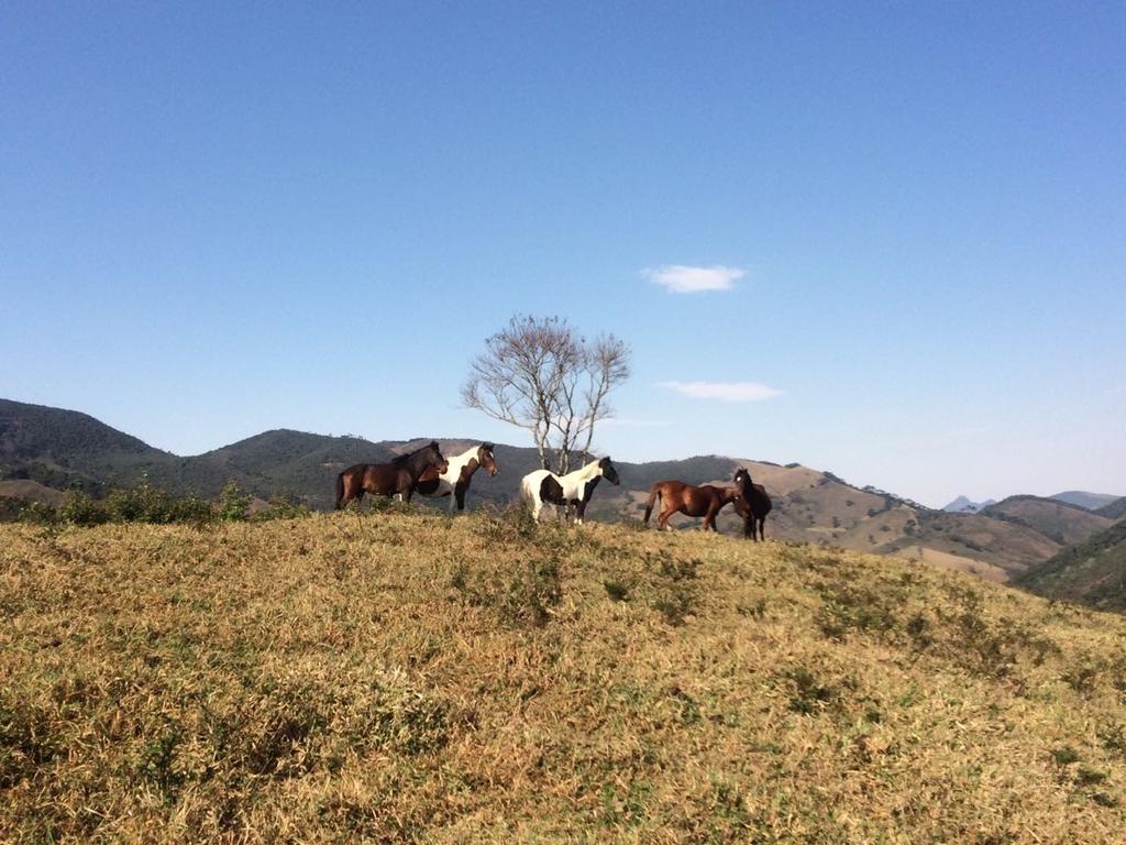 Apartamento Ferias Fazenda Usina 1 Bocaina de Minas Exteriör bild