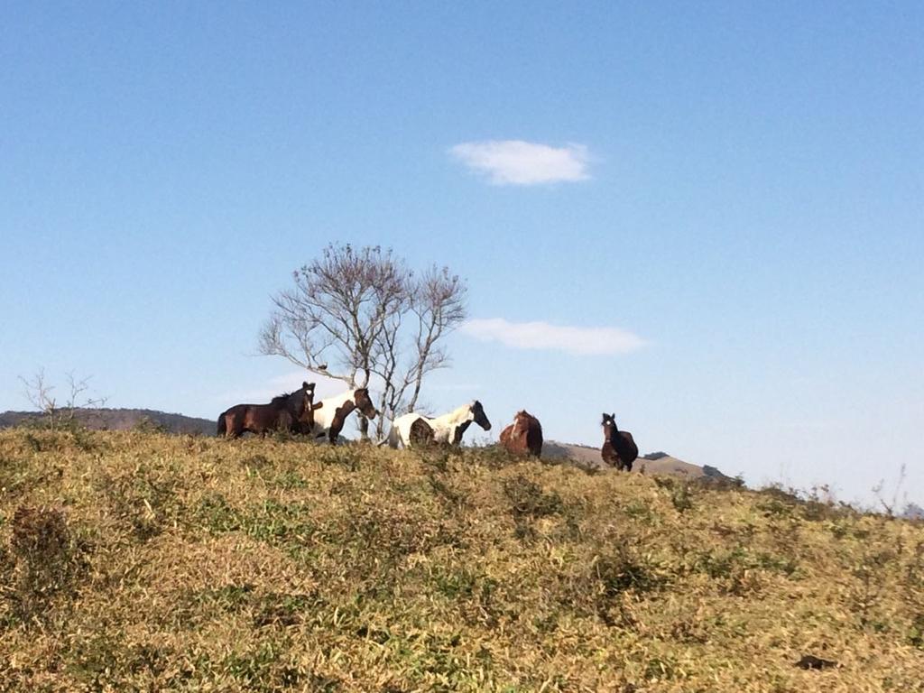 Apartamento Ferias Fazenda Usina 1 Bocaina de Minas Exteriör bild