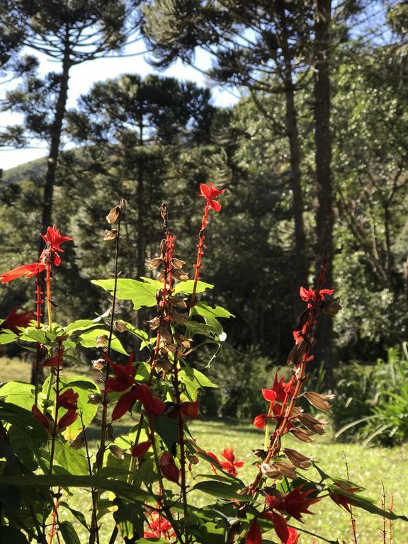 Apartamento Ferias Fazenda Usina 1 Bocaina de Minas Exteriör bild